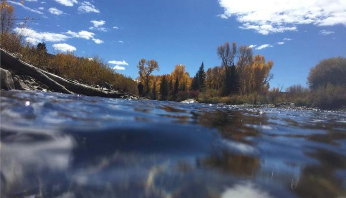 Master Stream Flows