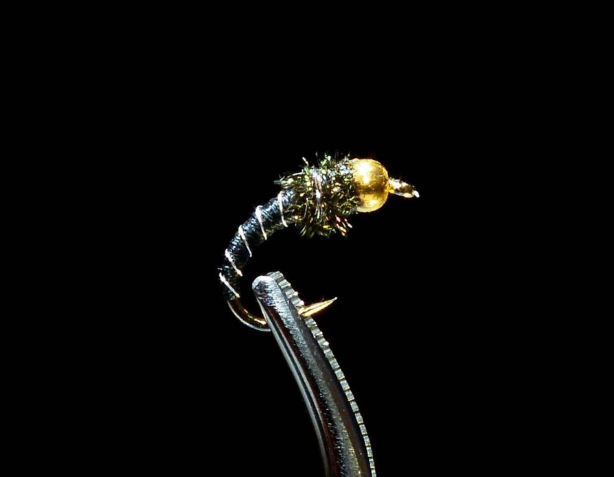Narrow-winged damselfly nymph (Coenagrionidae)