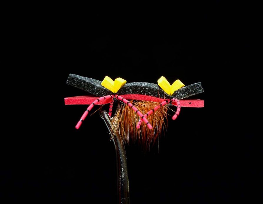 Chernobyl Ant