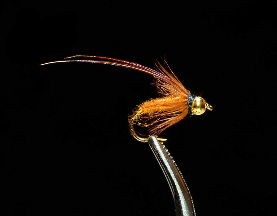 Beadhead Caddis Pupa