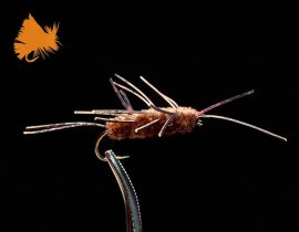 stonefly-nymph-ff-1