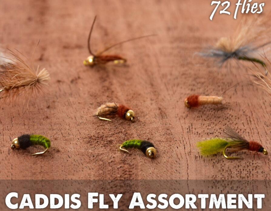 Caddis Lifecycle Assortment