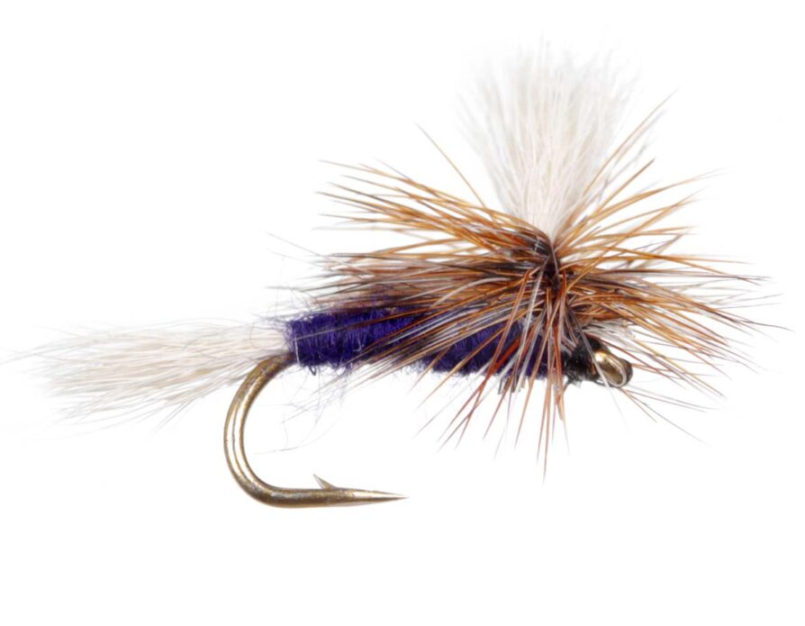 BWO & Adams Fly Assortment